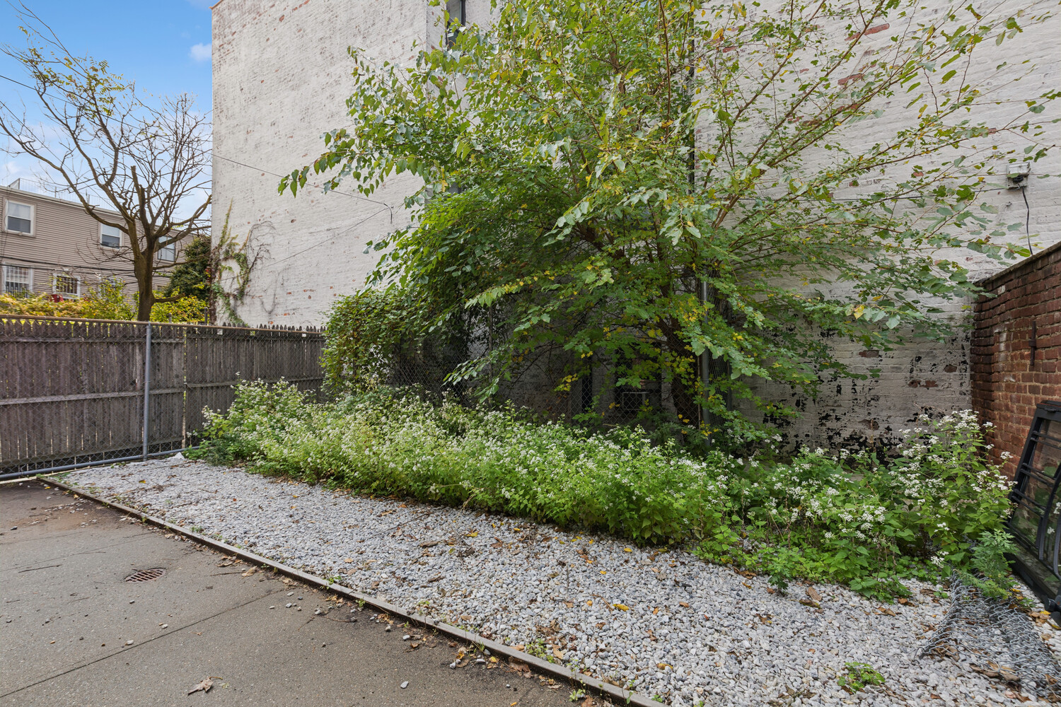 124 Thomas S Boyland Street Flatbush Brooklyn NY 11233