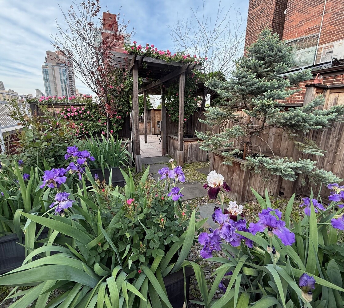 401 East 74th Street 8A Upper East Side New York NY 10021