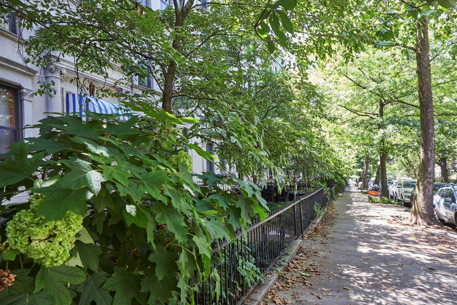 478 3rd Street 2R Park Slope Brooklyn NY 11215